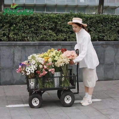 Dumping Garden Wagon Cart With Pneumatic Wheels And Mesh Structure Versatile