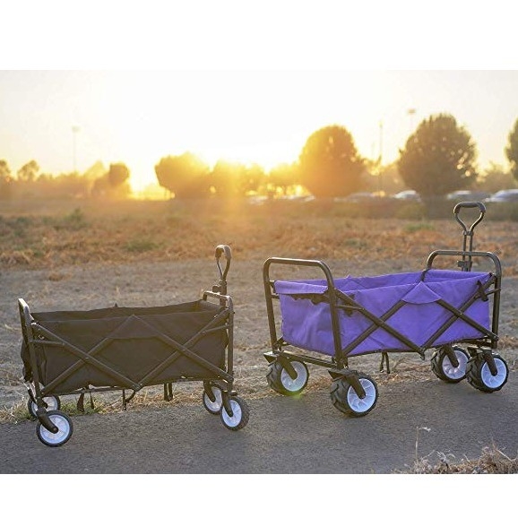 Portable and Versatile 300LBS Hand Cart Folding Shopping Wagon Cart